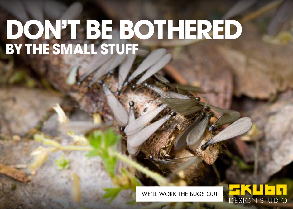 Termites postcard local graphic design new orleans marketing campaign
