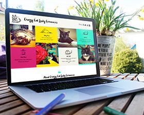 Website-new-orleans-design-pet-company-cats-layout-homepage-thumb  large