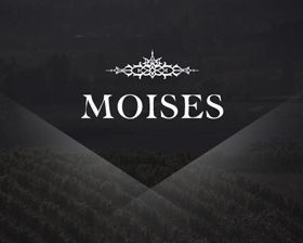 Moises-wines-marketing-website-design  large
