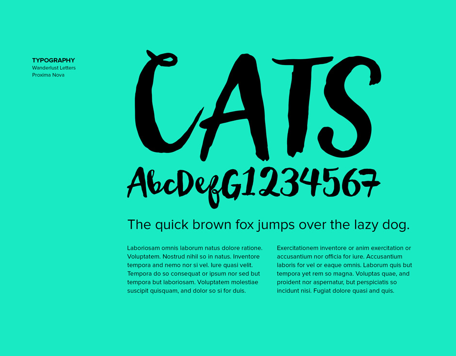Branding-font-selection-graphic-design-pet-company-new-orleans-2