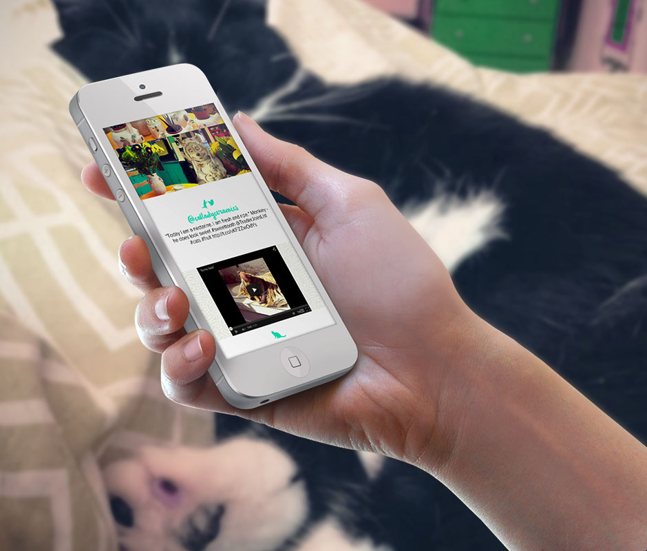 Mobile-website-design-iphone-layout-new-orleans-pet-company-2
