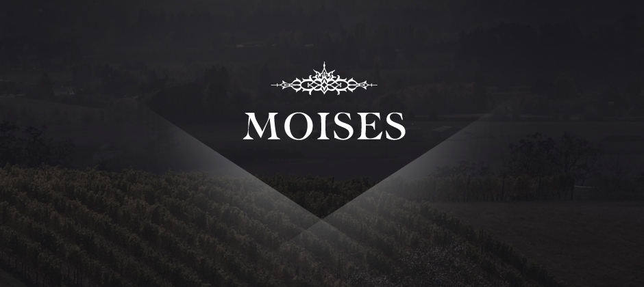 Moises-wines-branding-logo-vineyard  large