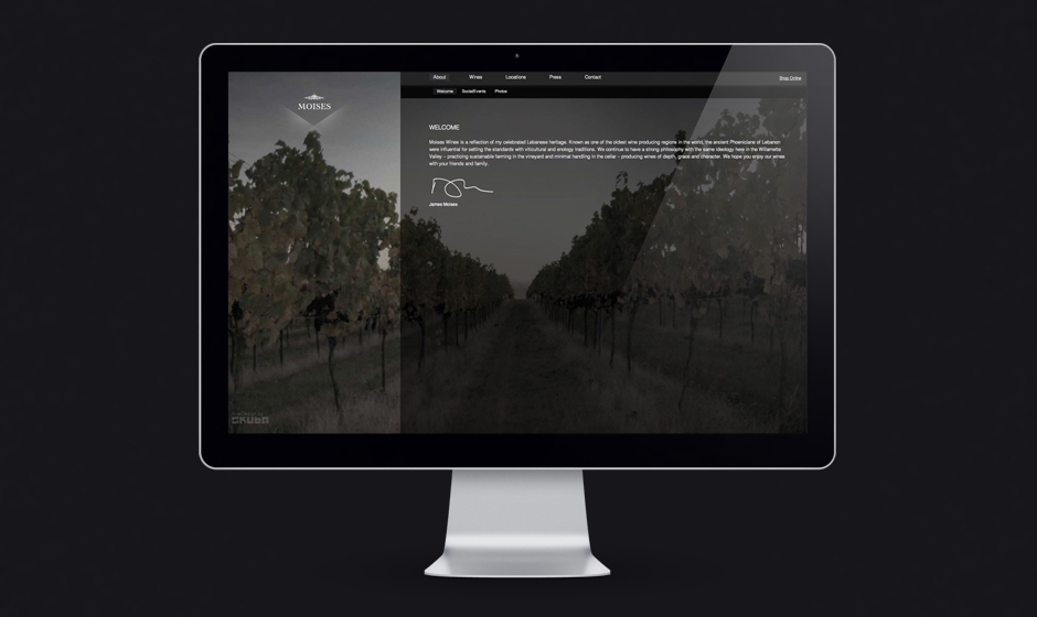Moises-wines-website-welcome-vineyard  large