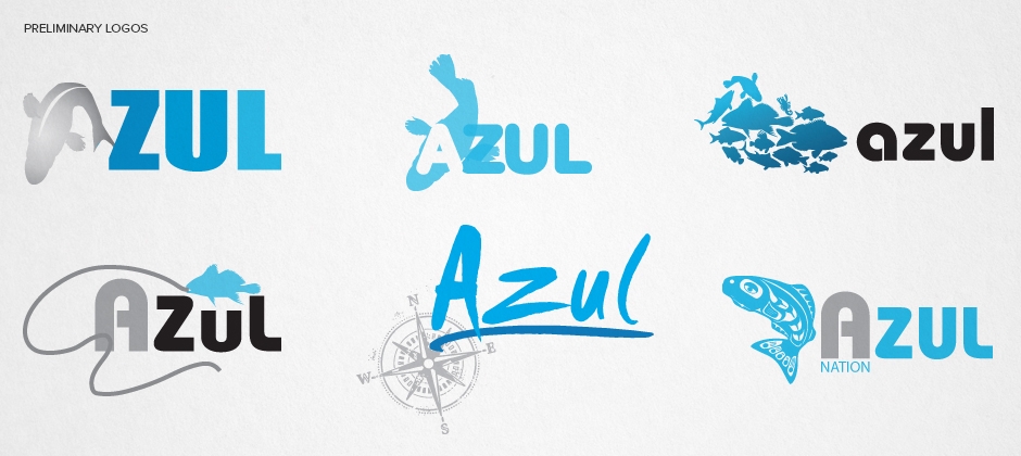 Azul-nation-preliminary-logos  large